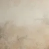 Штукатурка декоративная LANORS Silica Silver (1 слой 10м2) 15кг 