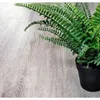Плитка ПВХ замковая SPC (каменно-полимерная) ALPINE FLOOR Classic Ясень серый ECO 134-5 43кл (4х183х1220мм) 2,23м² 1/10